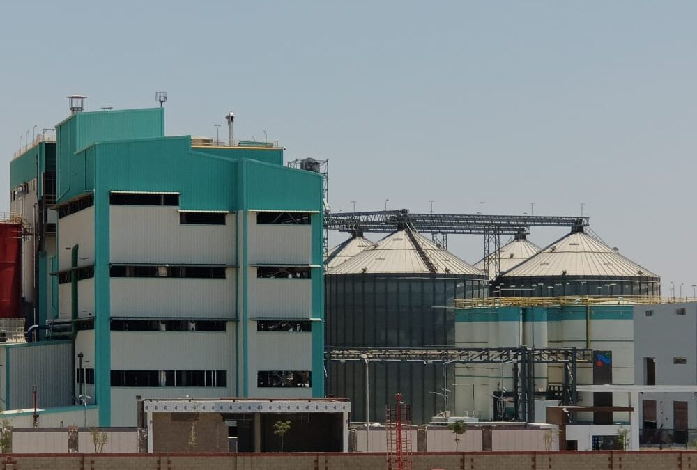 الانتهاء من تنفيذ اعمال جمالون بمدينة السادات